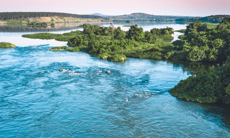 Lake Victoria Fishing Experiences with Green Gorilla Trails