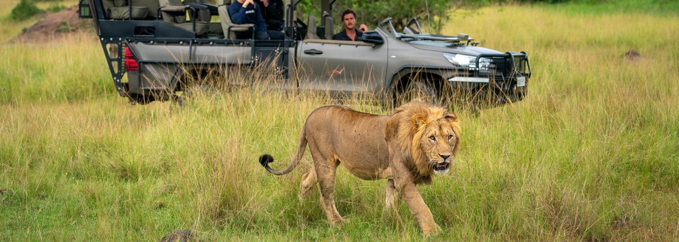 Wildlife Safari in Akagera National Park