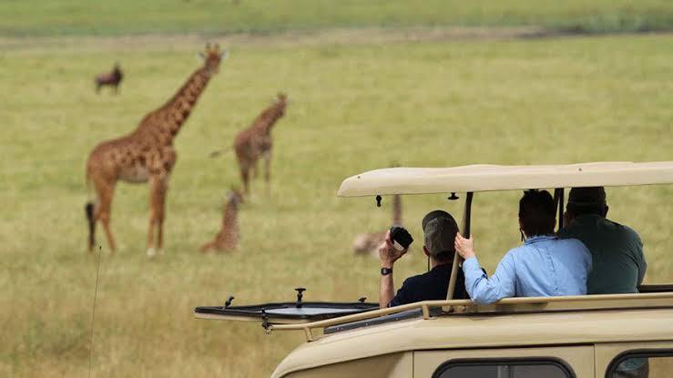1 Day Akagera National Park Game Drive