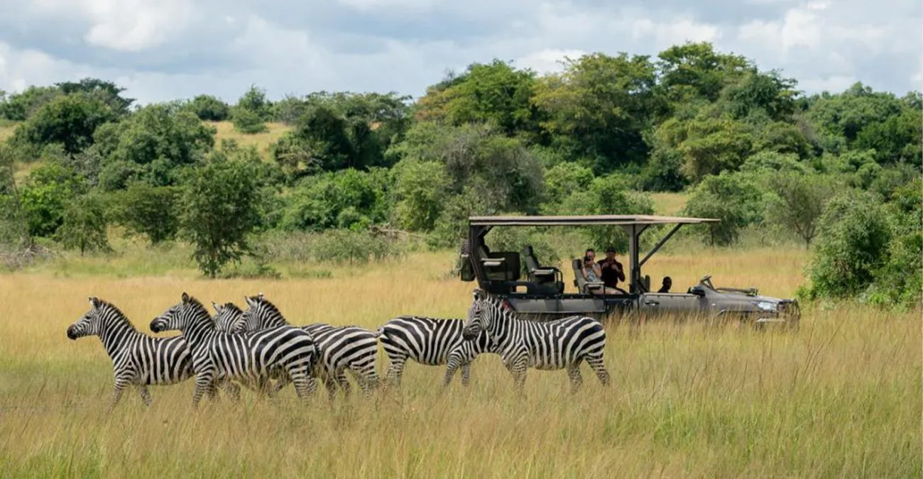7 Days Luxury Rwanda Safari