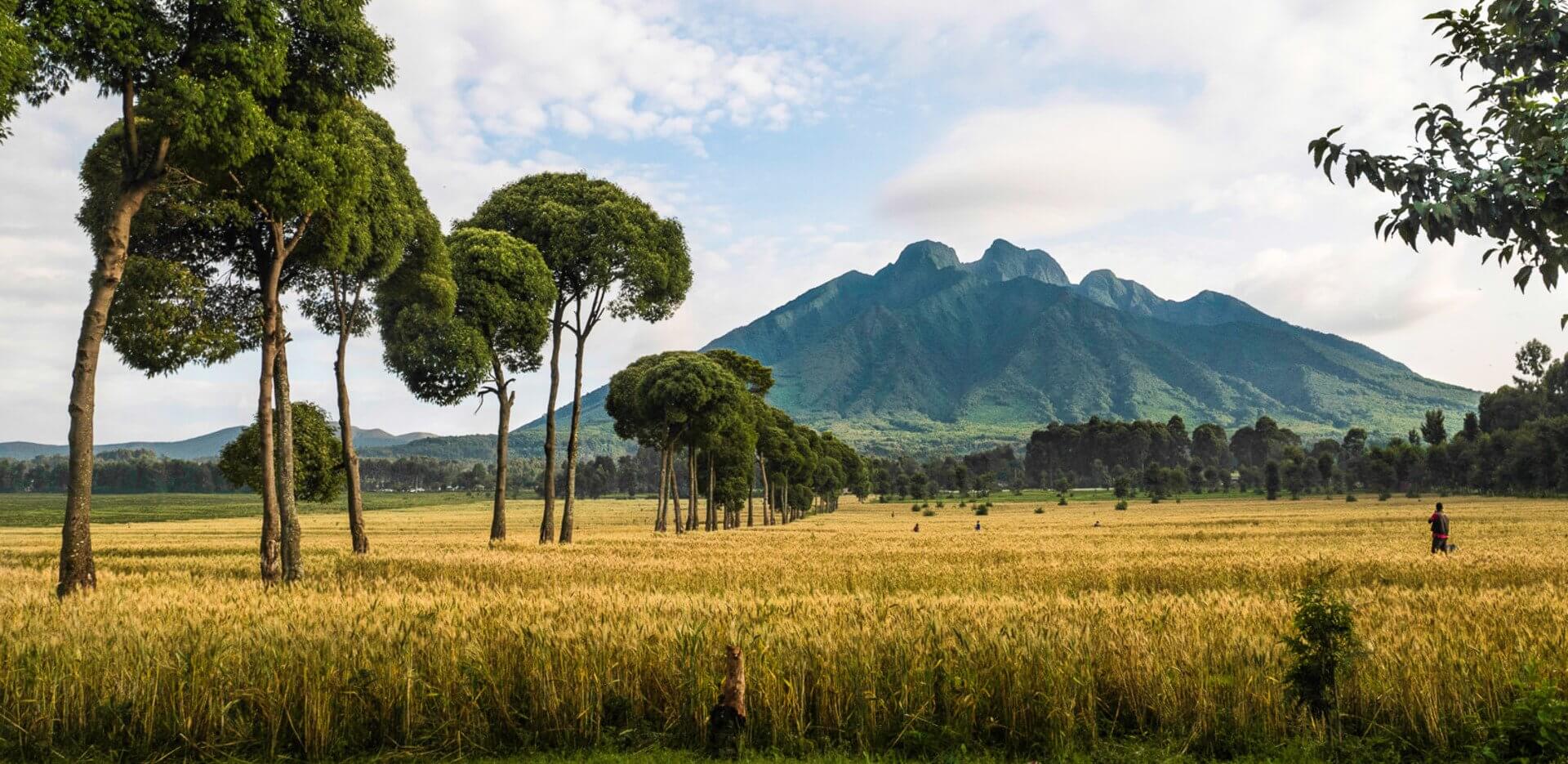 Top 10 Experiences in Rwanda with Green Gorilla Trails